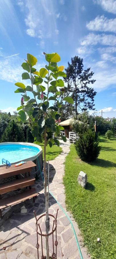 Country In The Villa Prag